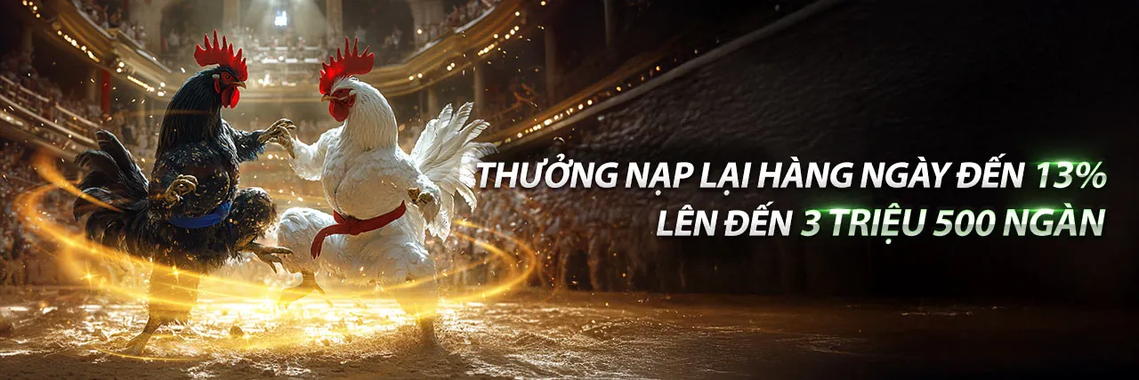 Đá gà trực tuyến Wstar77